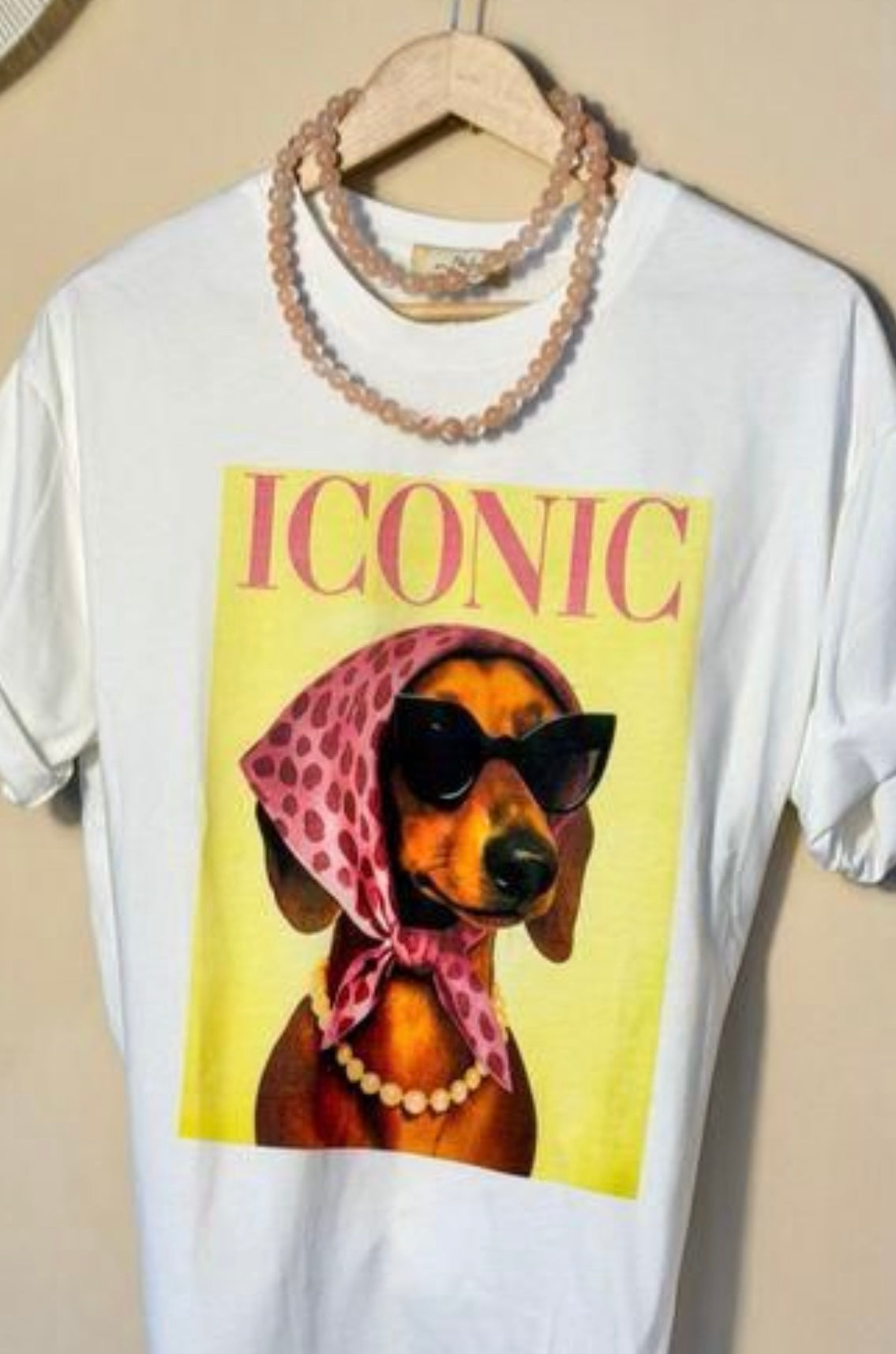 Stylin Pooch