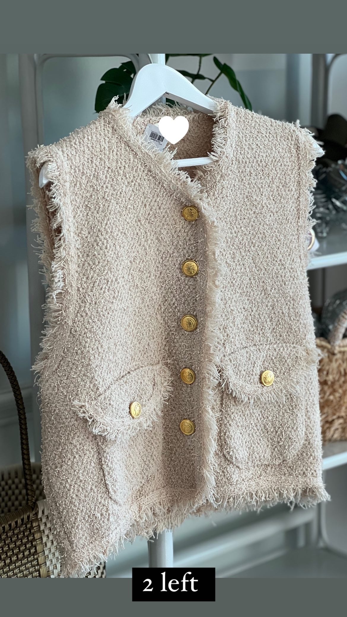 Taylor Vest