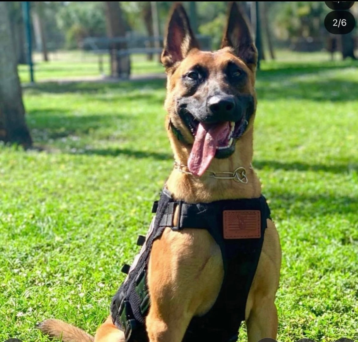 Custom Beaded Pet Bag