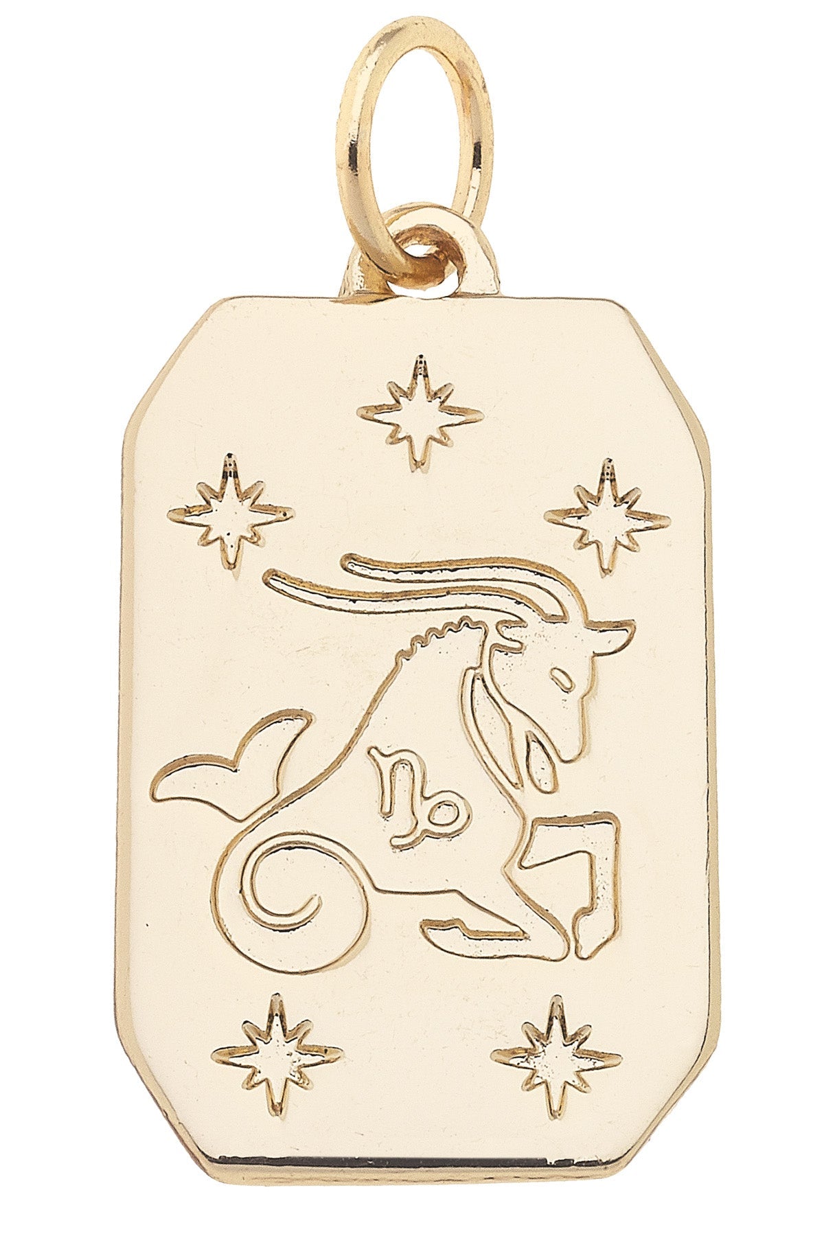 Zodiac Dog Tag Charm in Shiny Gold