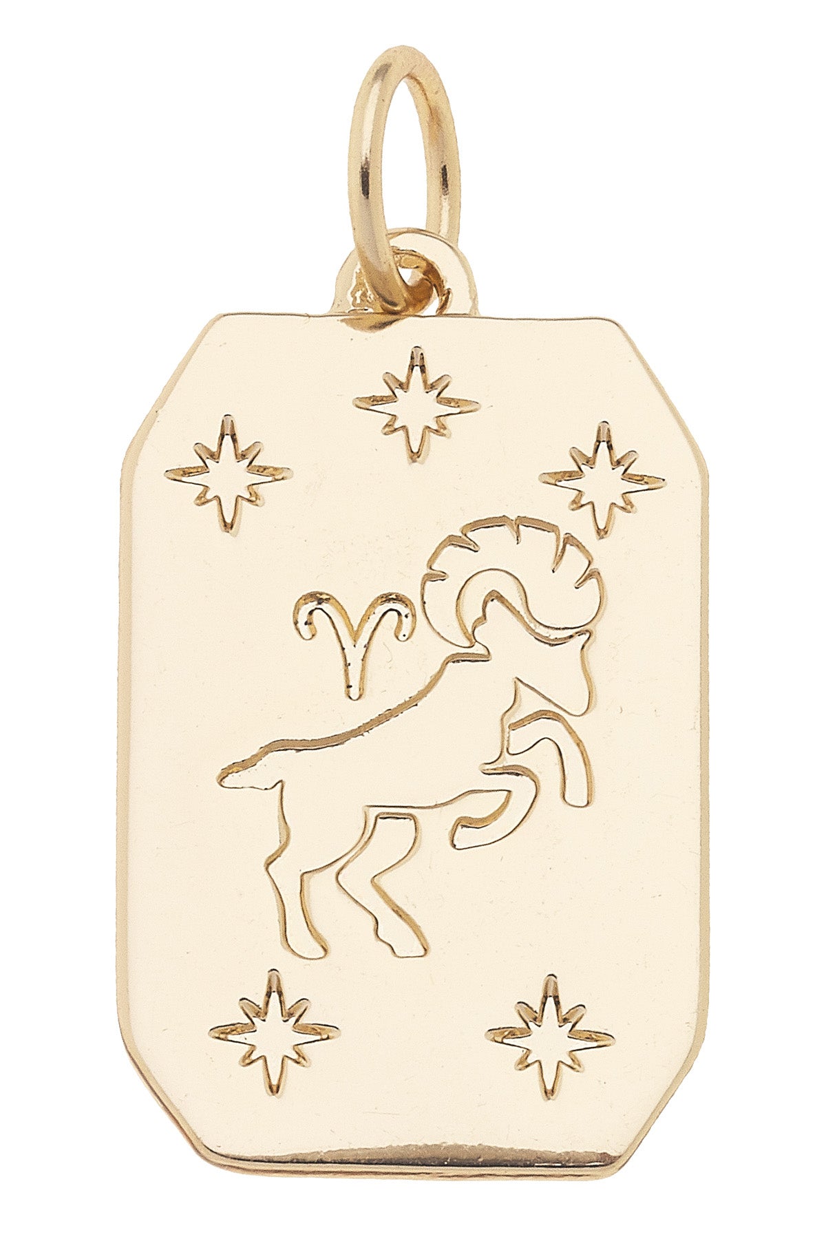 Zodiac Dog Tag Charm in Shiny Gold