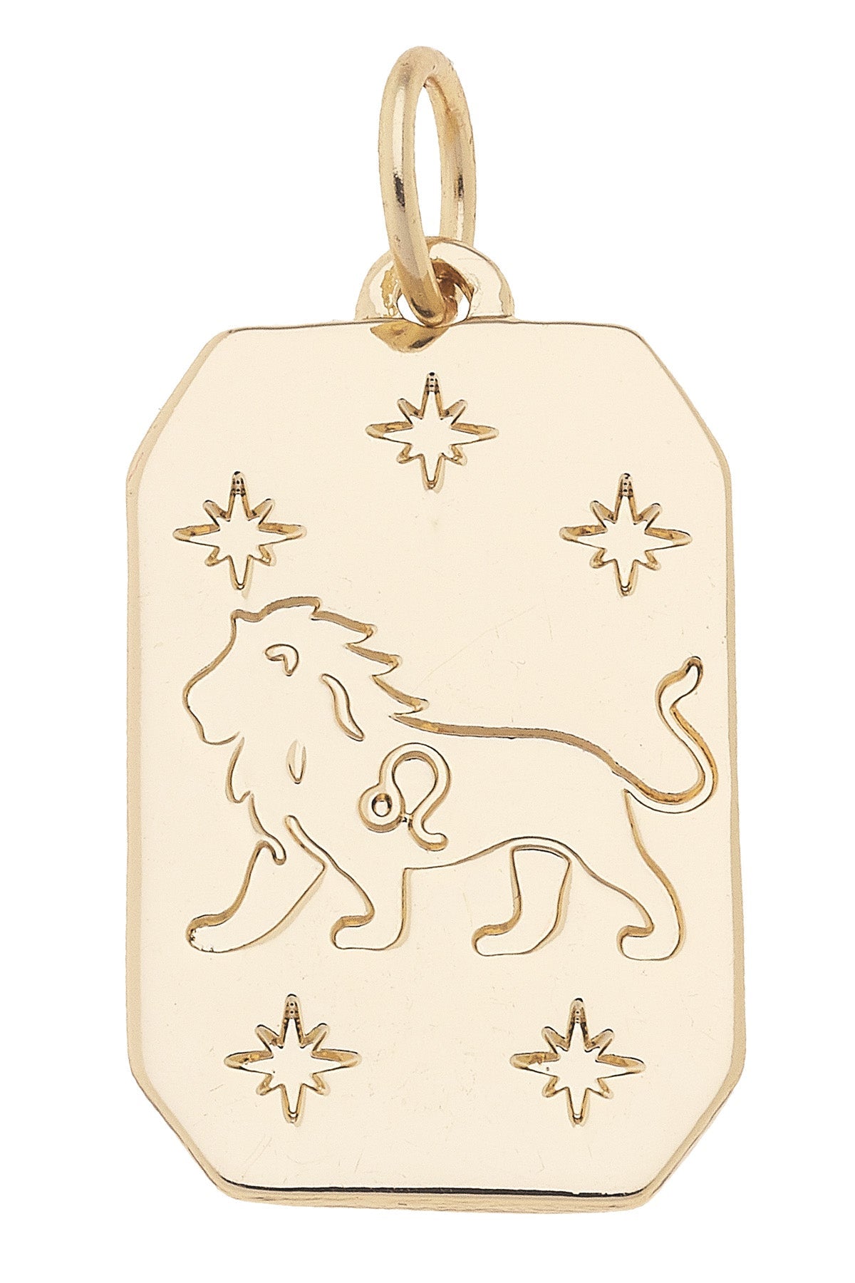 Zodiac Dog Tag Charm in Shiny Gold