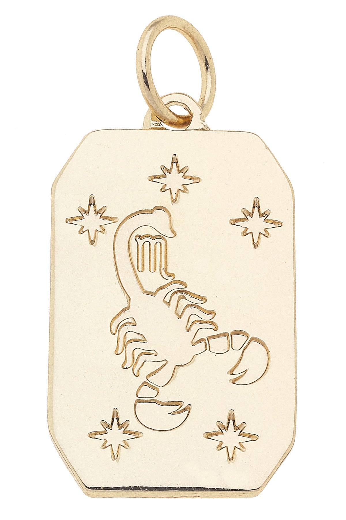 Zodiac Dog Tag Charm in Shiny Gold
