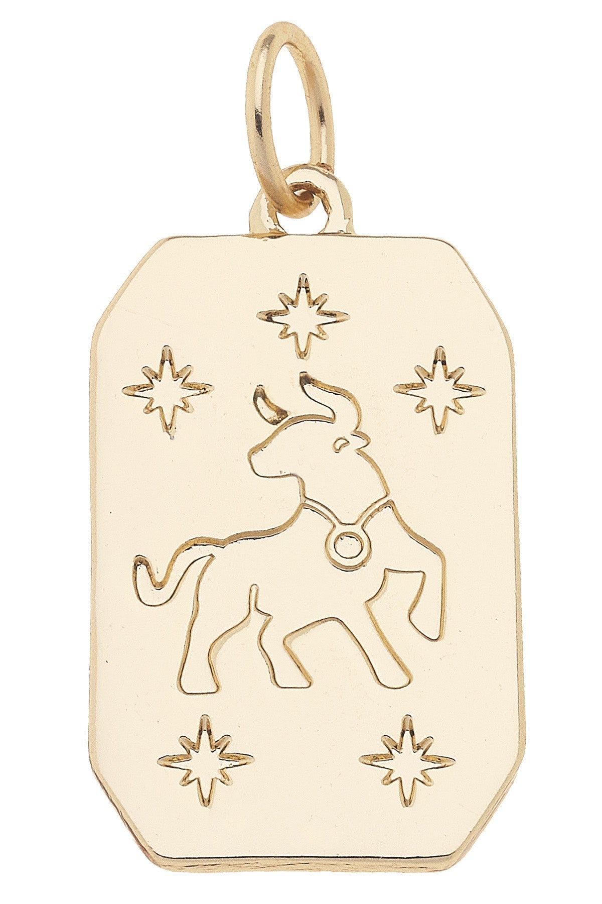 Zodiac Dog Tag Charm in Shiny Gold
