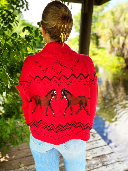 Giddyup Sweater in Red New Release