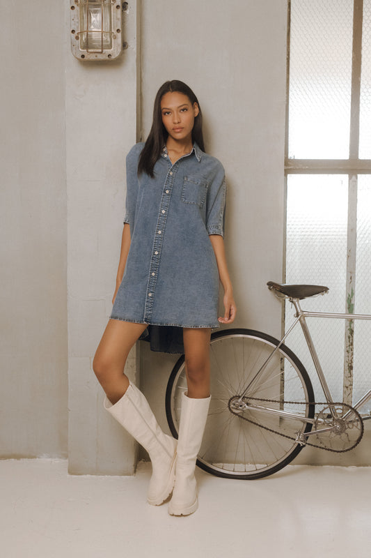 Shan Denim Dress/Top