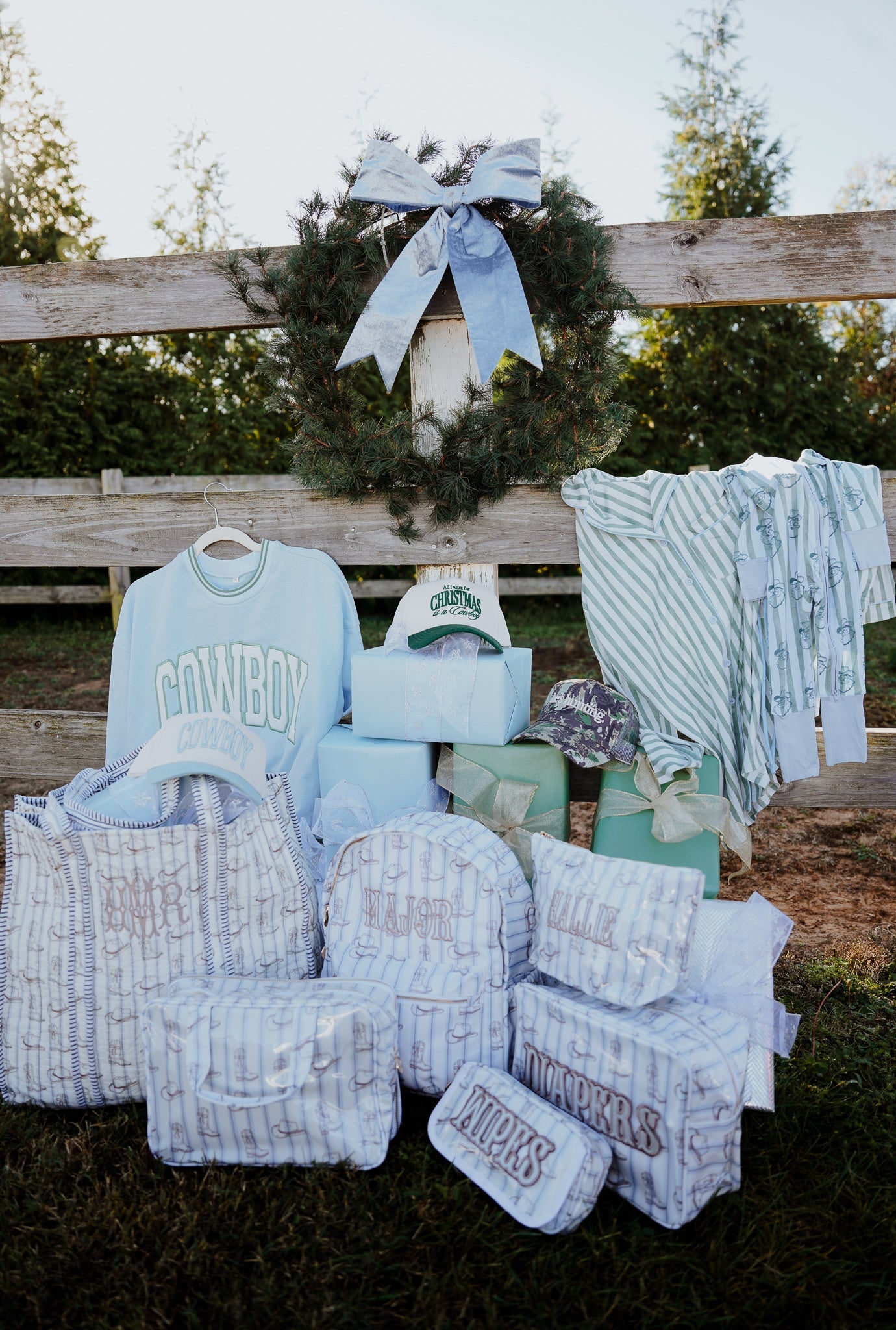 Western Blues Striped - Clear Coat Toiletry Case