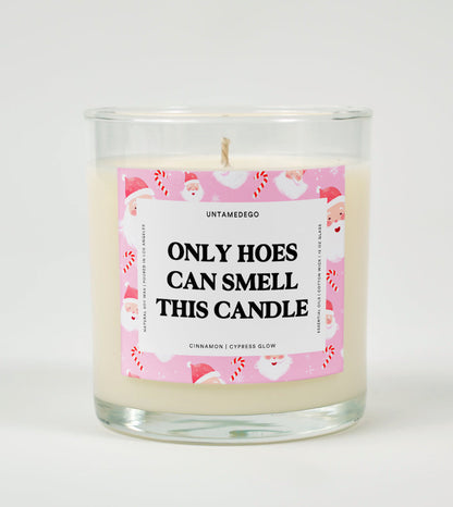 Only Hoes Can Smell This Candle | Funny Candle