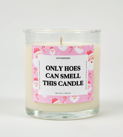 Only Hoes Can Smell This Candle | Funny Candle