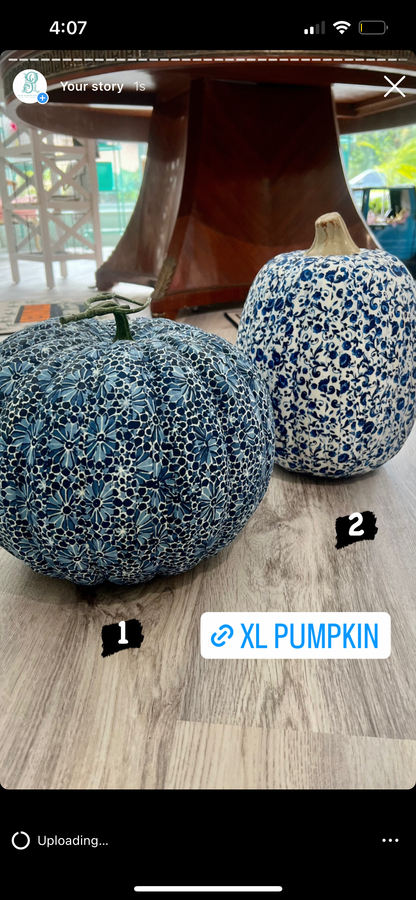 Blue & White Pumpkin XL