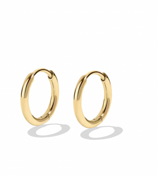 Dylan Earrings