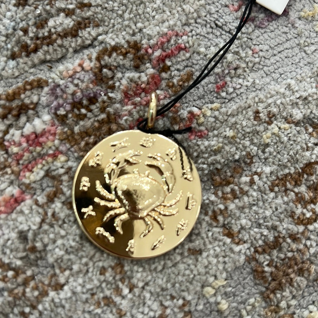 Zodiac Charm