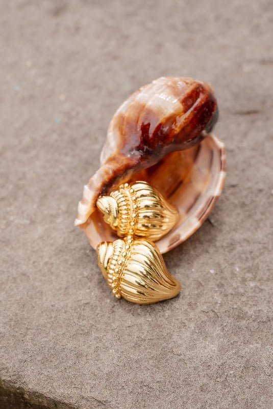 James Conch Shell Earring - 18k Plated Gold - Belle of the Ball Collection